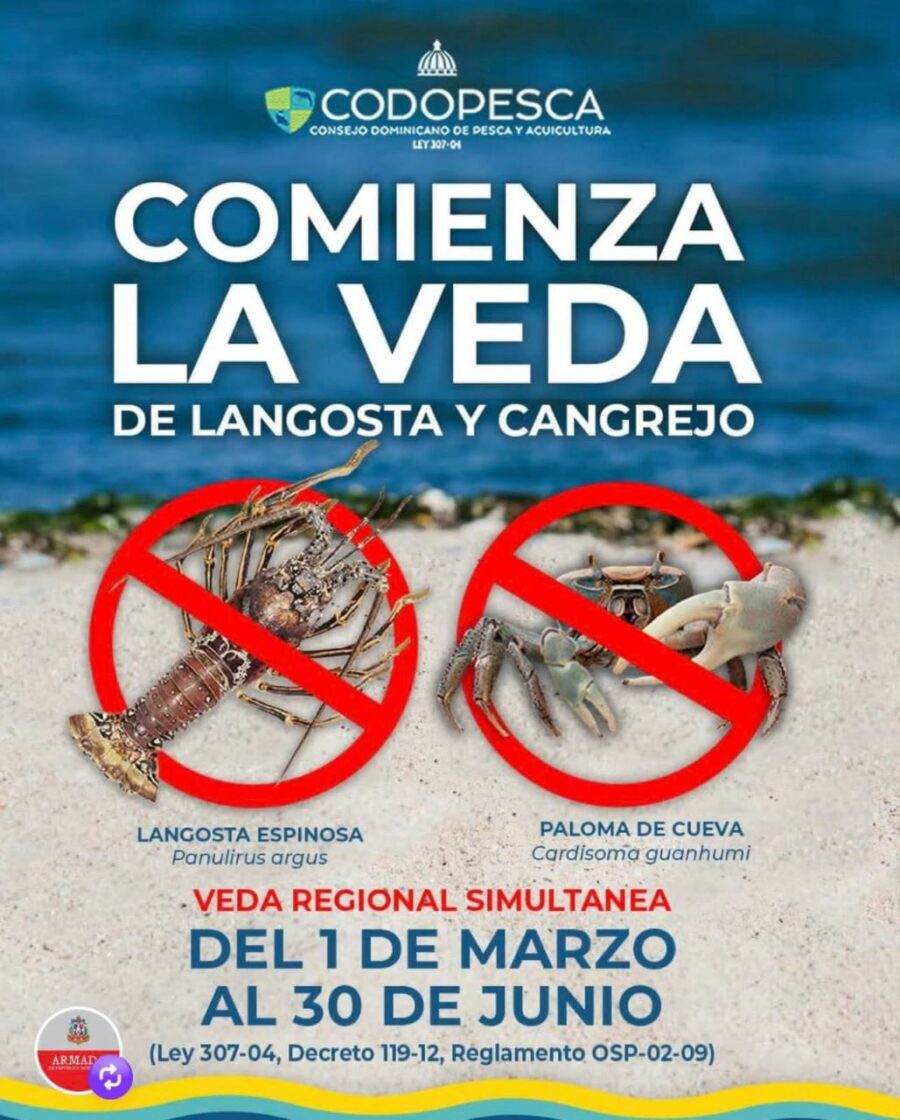 langostas y cangrejos