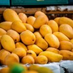 “La maravilla del mundo”: así describen el nuevo mango banilejo