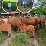 Del escritorio al campo: La historia de dos mujeres que asumieron la producción agropecuaria