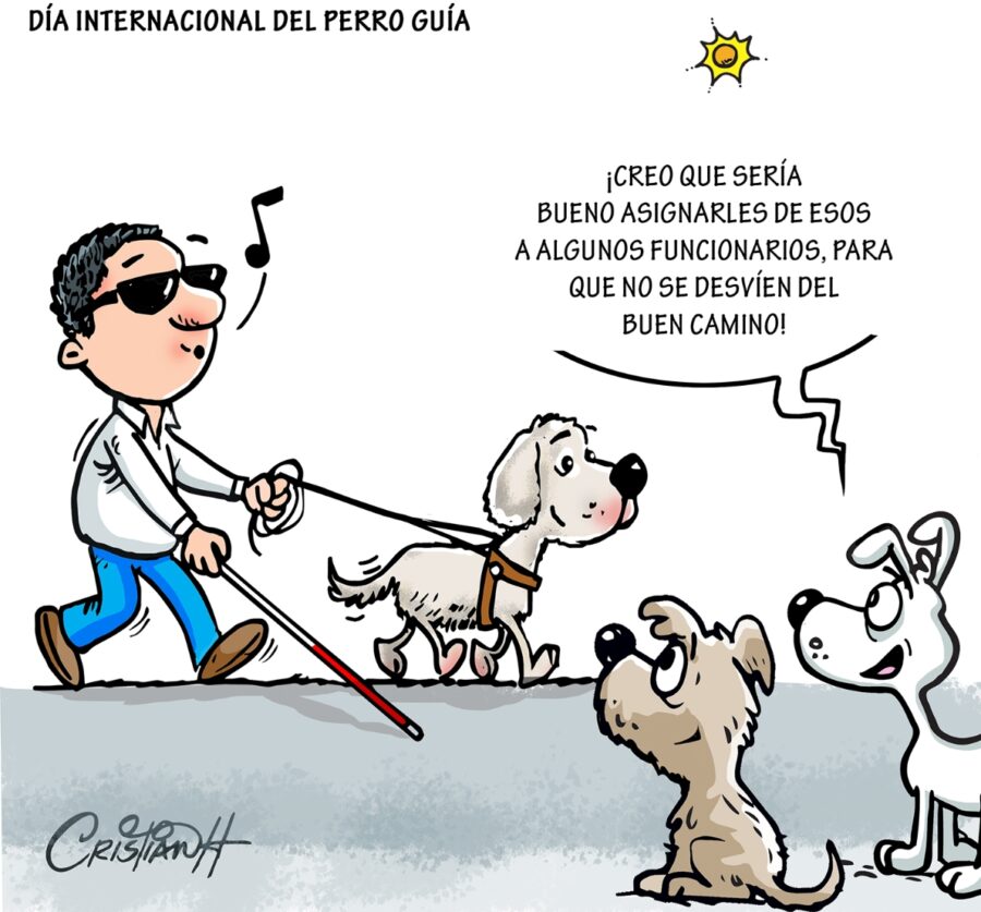 El carrusel de la vida