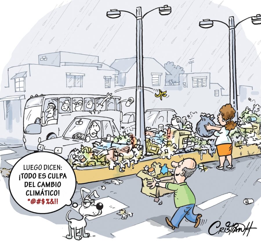 El carrusel de la vida