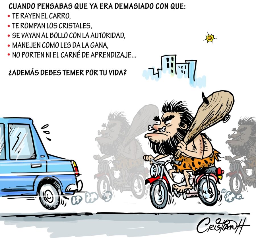 El carrusel de la vida