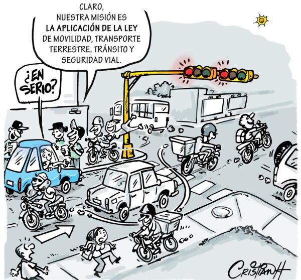 el carrusel de la vida