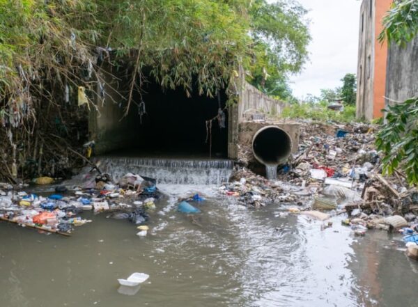 Lluvias en el país elevan riesgo de dengue, leptospirosis y enfermedades gastrointestinales.