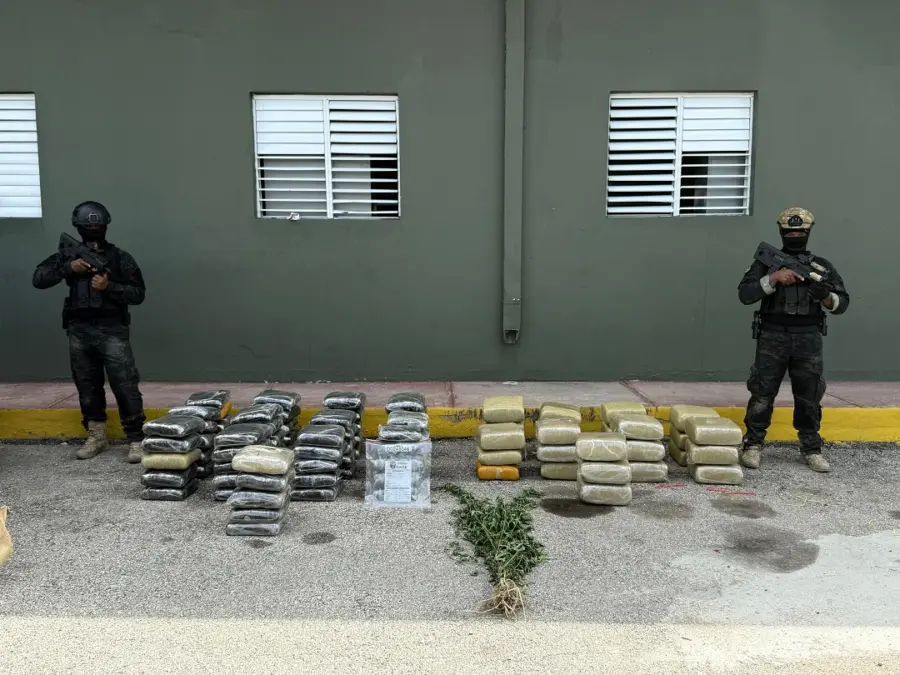 600 libras de marihuana