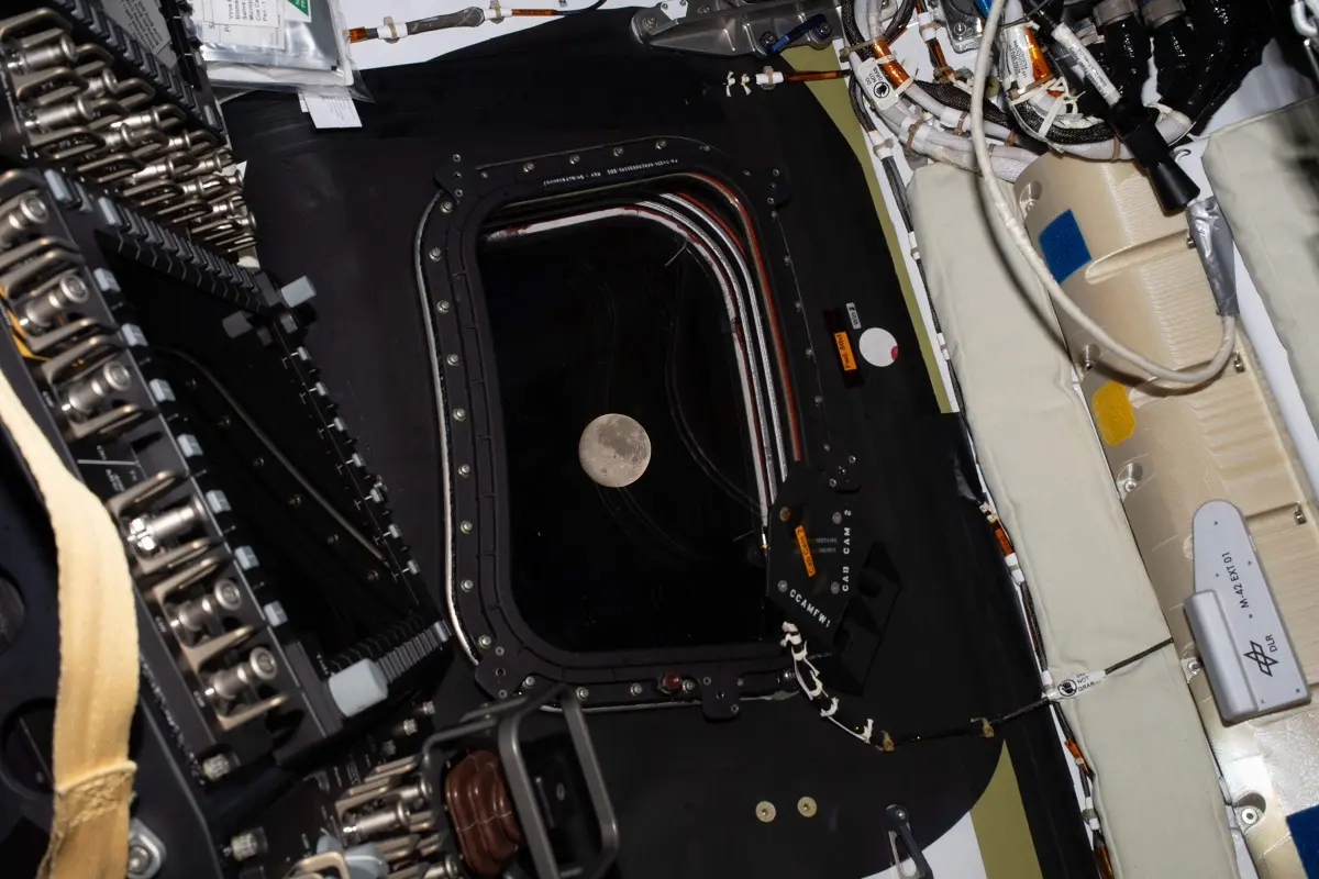  EN VIVO | Artemis II se acerca a la Luna: momento histórico en directo