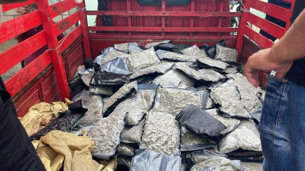 Camión cargado de marihuana