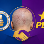 Alianza entre el PRM y el PLD, una idea no del todo descabellada