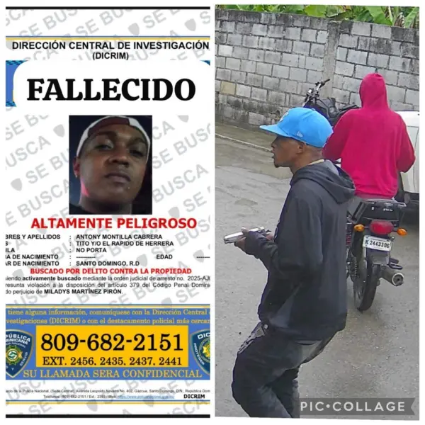 Delincuentes abatidos
