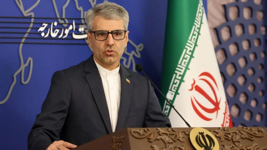 Ministerio de Exteriores iraní, Ismail Bagaei.