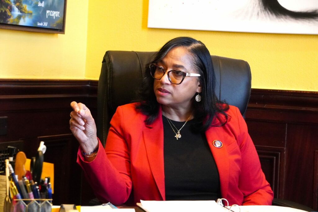 De una casa con goteras a liderar en EE. UU: la inspiradora historia de la dominicana Joseline Peña-Melnyk