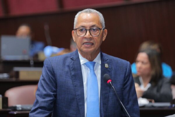 Pedro Martínez, diputado