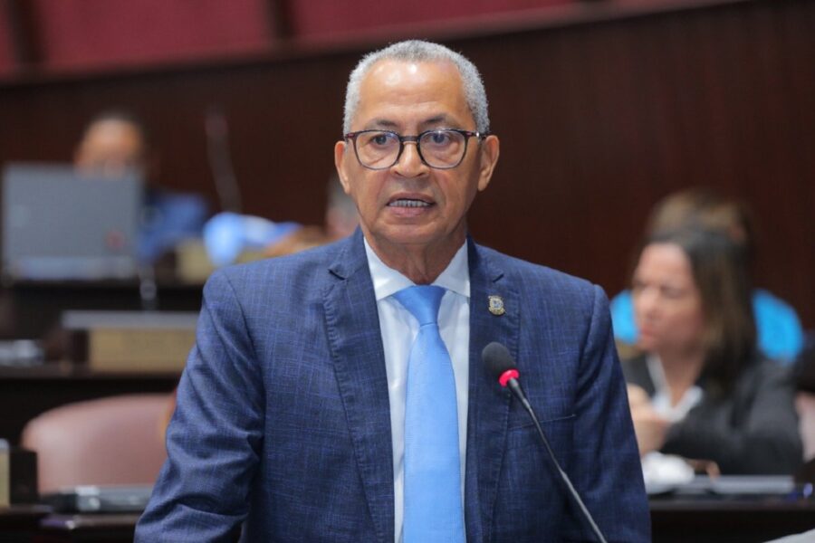 Pedro Martínez, diputado