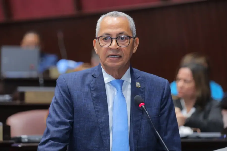 Pedro Martínez, diputado