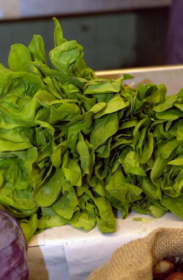 ¿Podrían dos vitaminas reducir el riesgo de muerte por tóxicos plásticos?