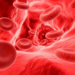 Hoy Día Mundial de Hemofilia: 3 de cada que la padecen no lo saben