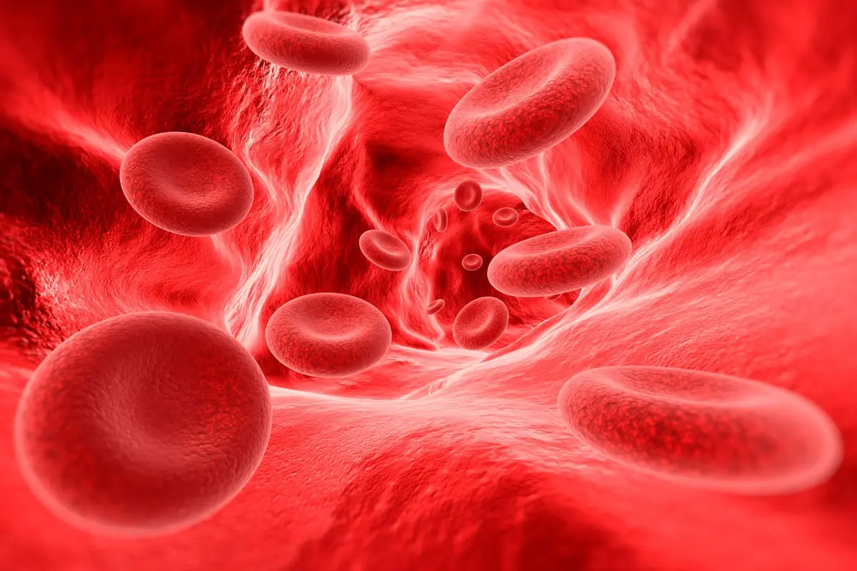 Hoy Día Mundial de Hemofilia: 3 de cada que la padecen no lo saben