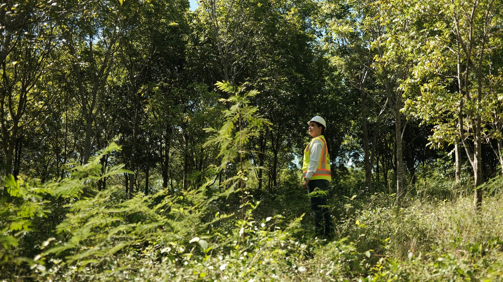 CAMIPE: “La modernización de la Ley Minera es la mayor garantía de protección ambiental para el país”