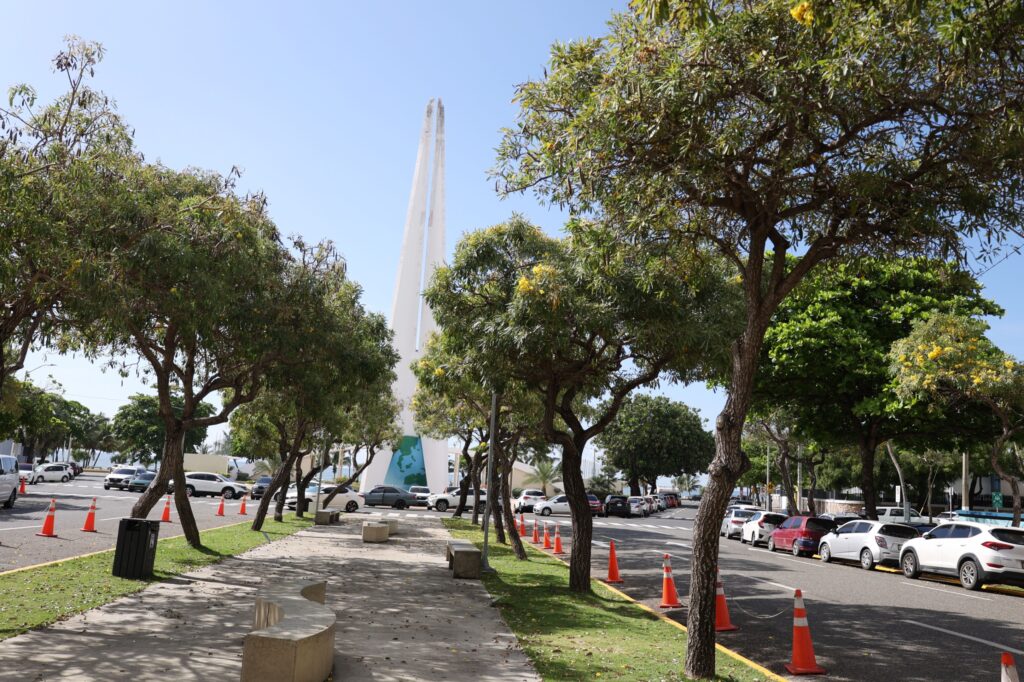 Robles-Flores amarillas-Distrito Nacional