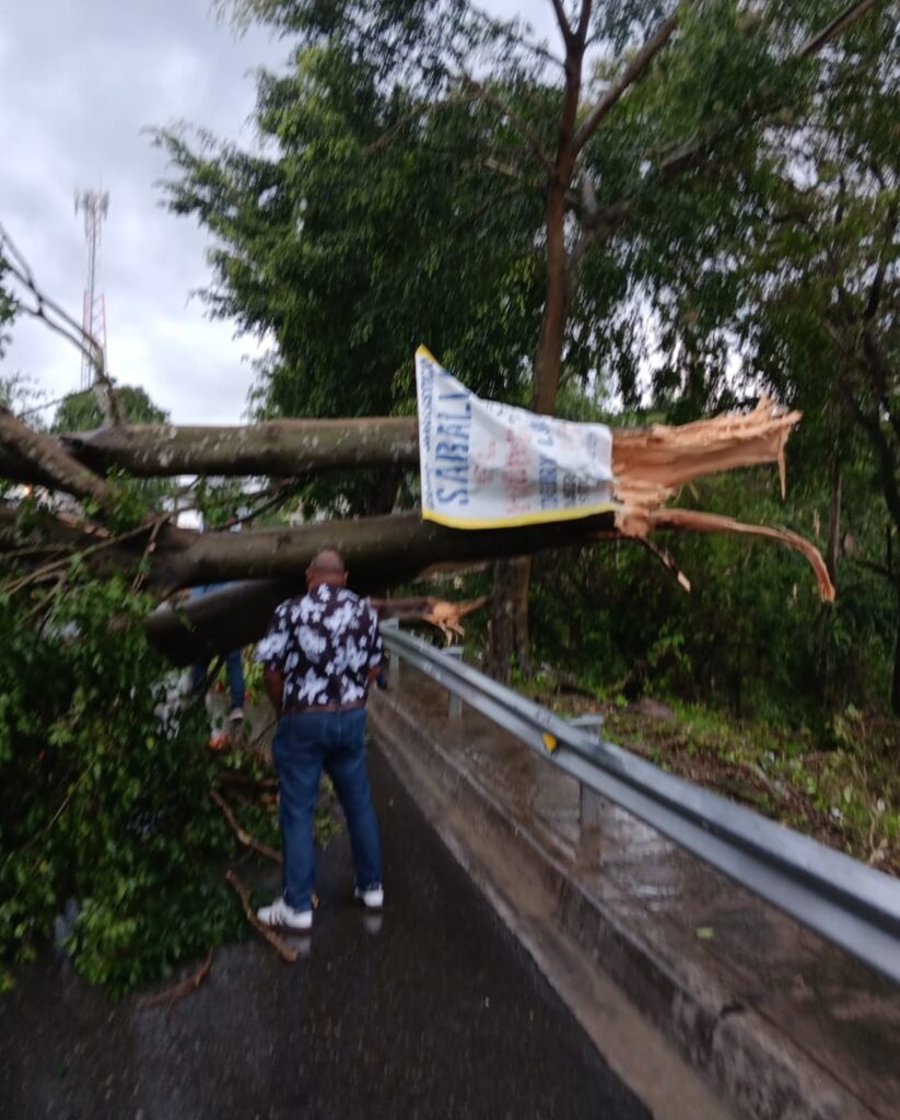 Emergencia en Altamira: ventarrón y lluvias causan severos daños