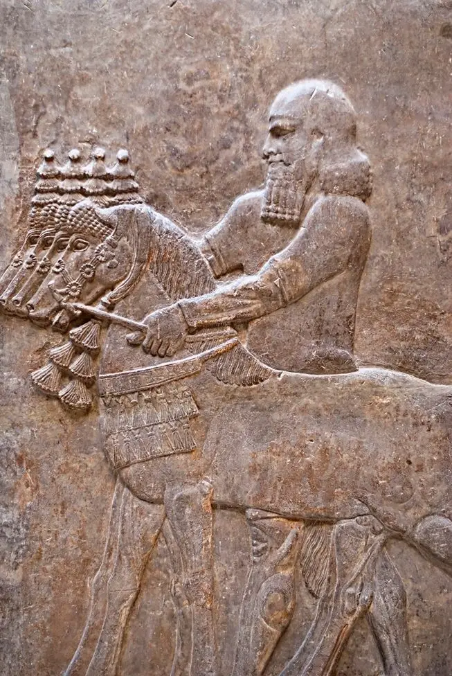 8 aportes de la milenaria cultura persa a nuestra vida cotidiana