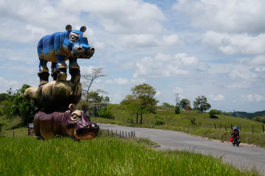 Controversia en Colombia por eutanasia de hipopótamos de Pablo Escobar