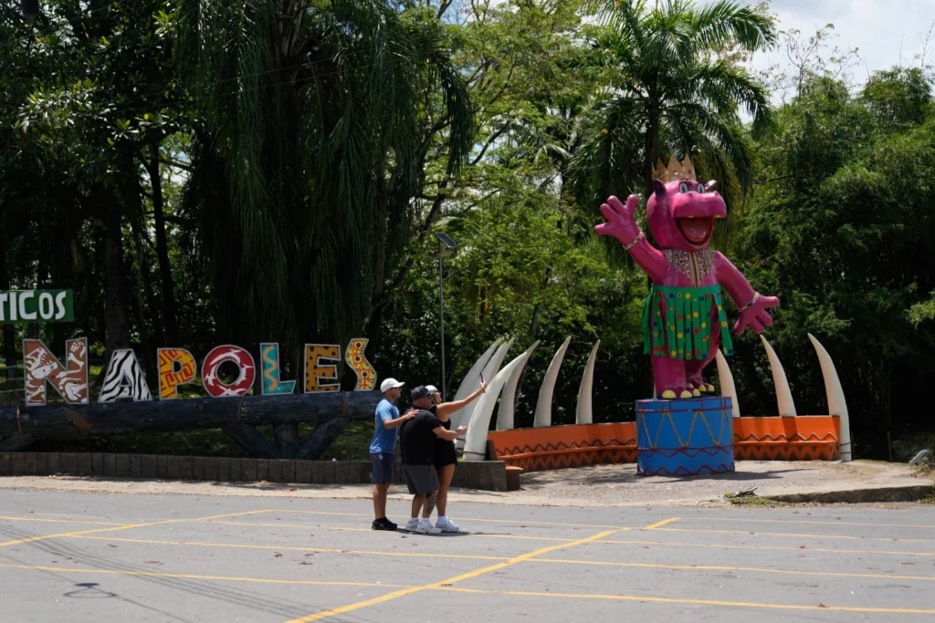 Controversia en Colombia por eutanasia de hipopótamos de Pablo Escobar