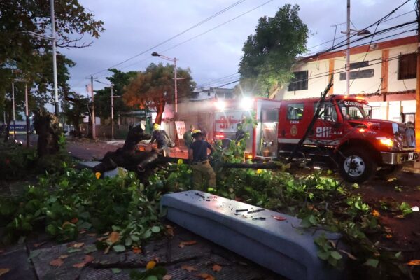 Arboles-calles-inundaciones