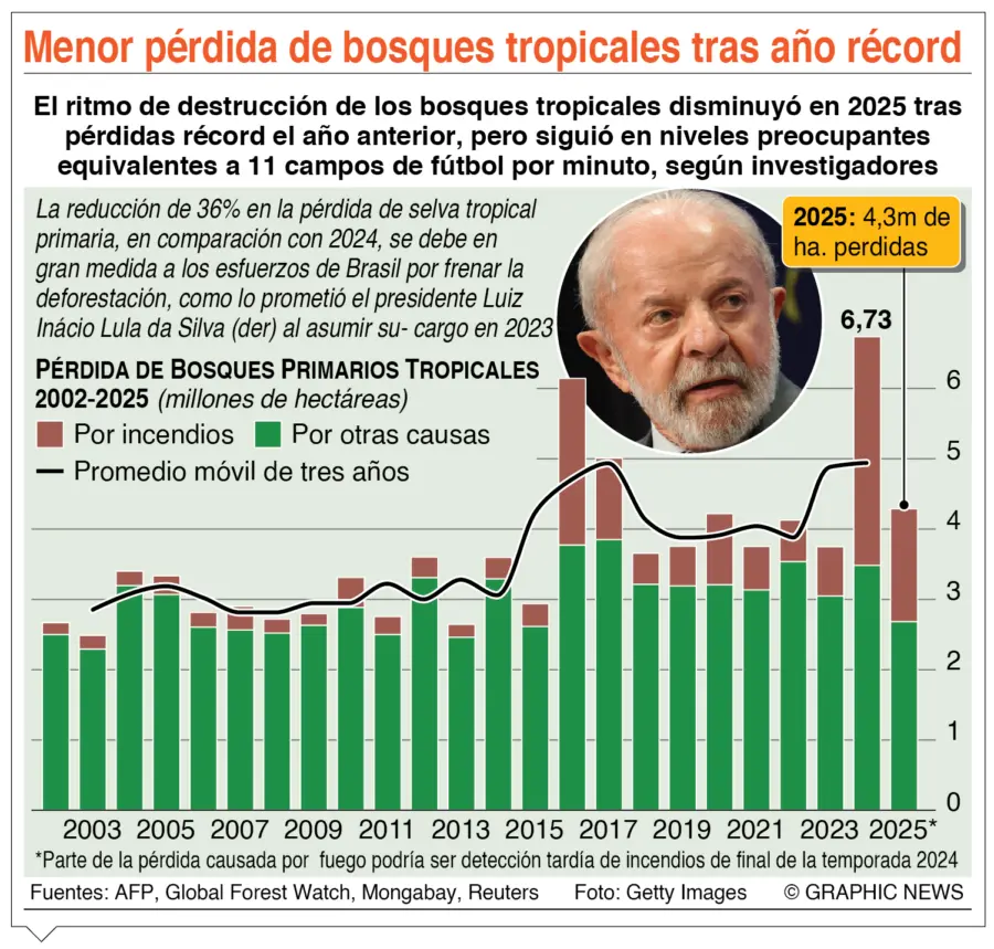 info-BOSQUES TROPICALES