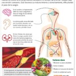 Hipertensión arterial: conocer tus números puede salvarte la vida
