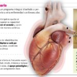 Ya tuve el infarto, ¿y ahora qué? El camino a la rehabilitación cardíaca
