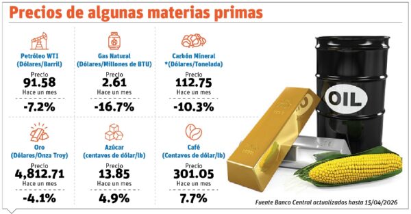 info-MATERIAS PRIMAS II-01
