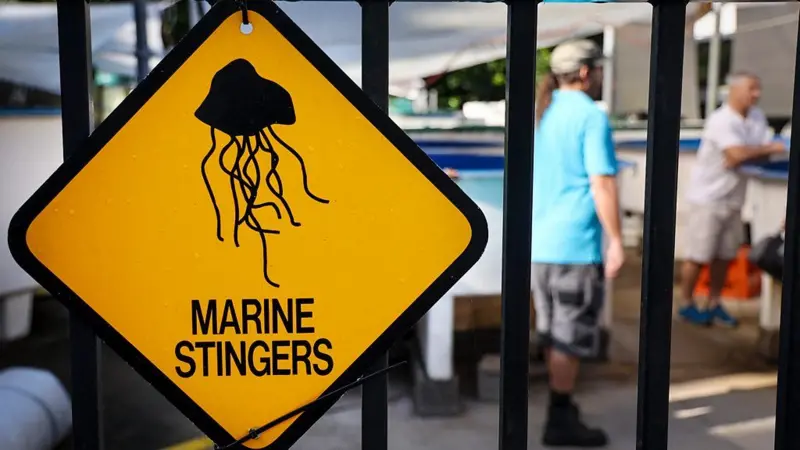 ¿Cuál es la picadura más dolorosa del mundo?