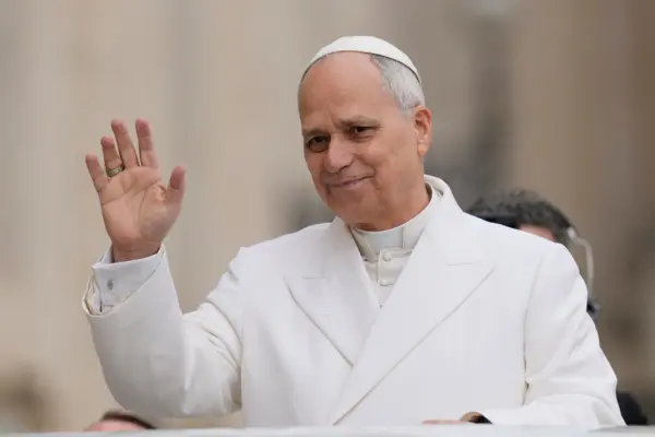 El papa León XIV pide proteger derechos de enfermos