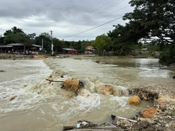 Las inundaciones aumentan el riesgo de propagar la bacteria que transmite la leptospirosis.