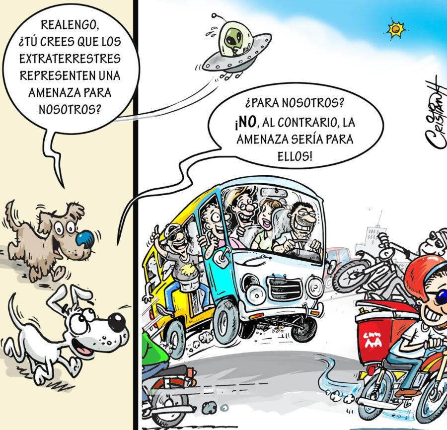 El carrusel de la vida