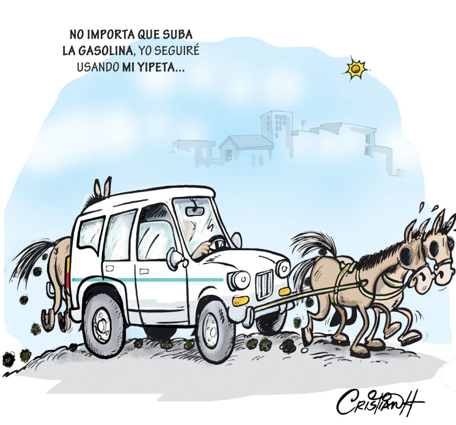 el carrusel de la vida