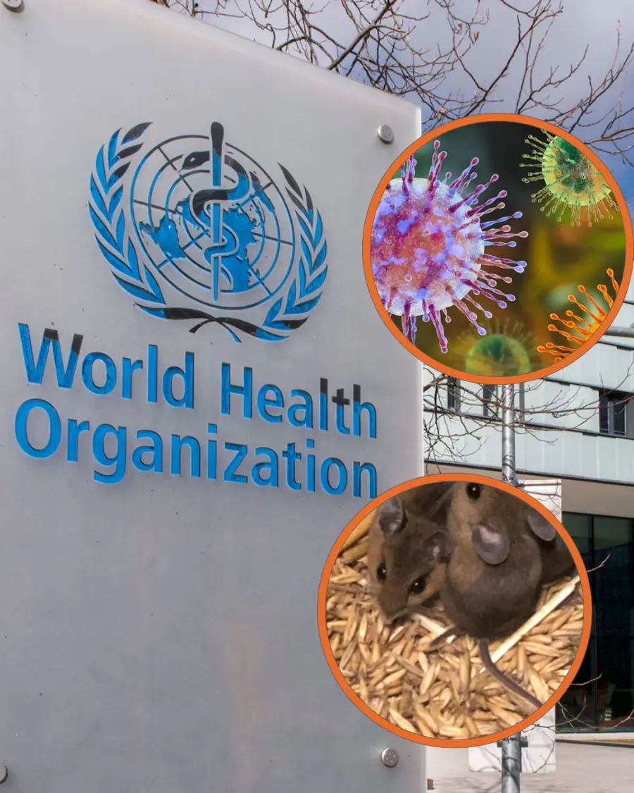 Hantavirus