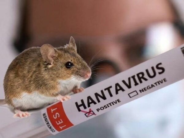 Hantavirus-salud