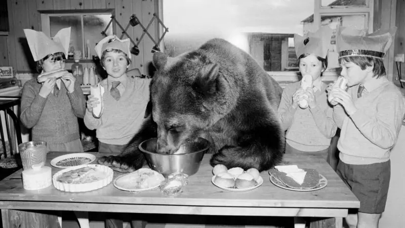La extraordinaria historia de Hércules, el oso al que una pareja adoptó y crio como parte de su familia