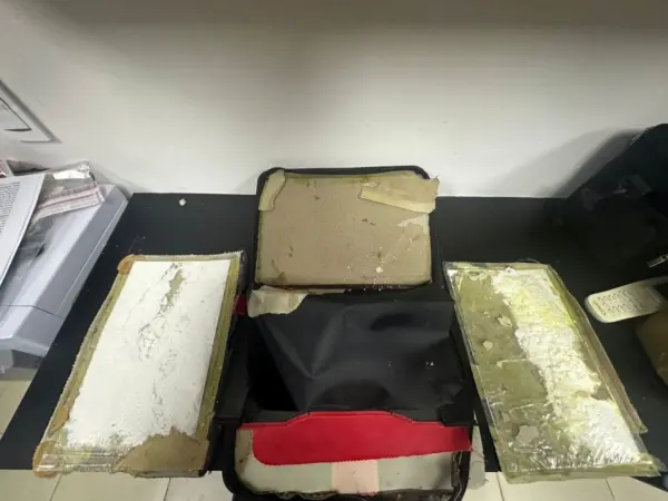 Incautan presuntas laminas de cocaína