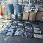 DNCD decomisa 133 paquetes de marihuana en el Puerto de Haina Oriental durante operativos de inspección