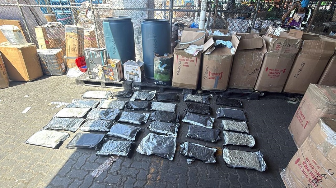 DNCD decomisa 133 paquetes de marihuana en el Puerto de Haina Oriental durante operativos de inspección