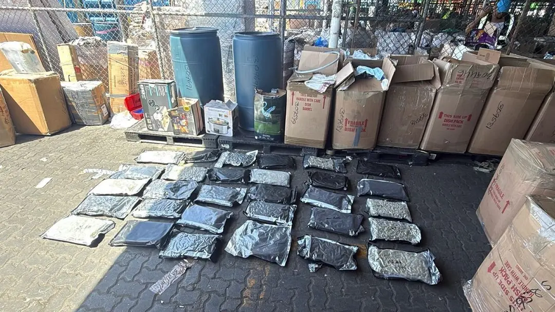 DNCD decomisa 133 paquetes de marihuana en el Puerto de Haina Oriental durante operativos de inspección