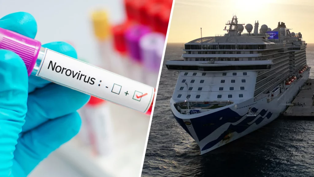 Norovirus: el virus que puede confundirse con una intoxicación alimentaria y alerta por brotes en cruceros