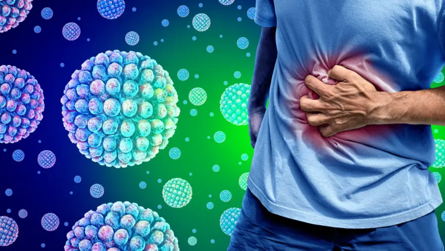 Norovirus enfermedad contagiosas