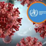 OMS: el hantavirus solo se transmite por contacto estrecho y posible exposición a saliva