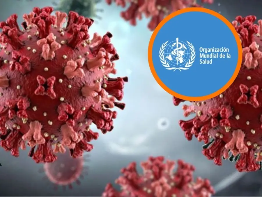 OMS-Hantavirus