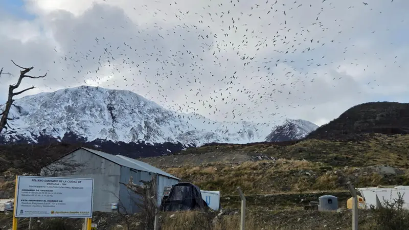 "En Tierra del Fuego no tenemos casos de hantavirus": la provincia argentina desde donde zarpó el crucero niega ser la causa de la crisis que alerta a Europa