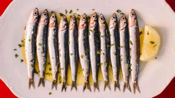 Los nutricionistas consideran que las sardinas entran dentro de la categoría de "superalimento"